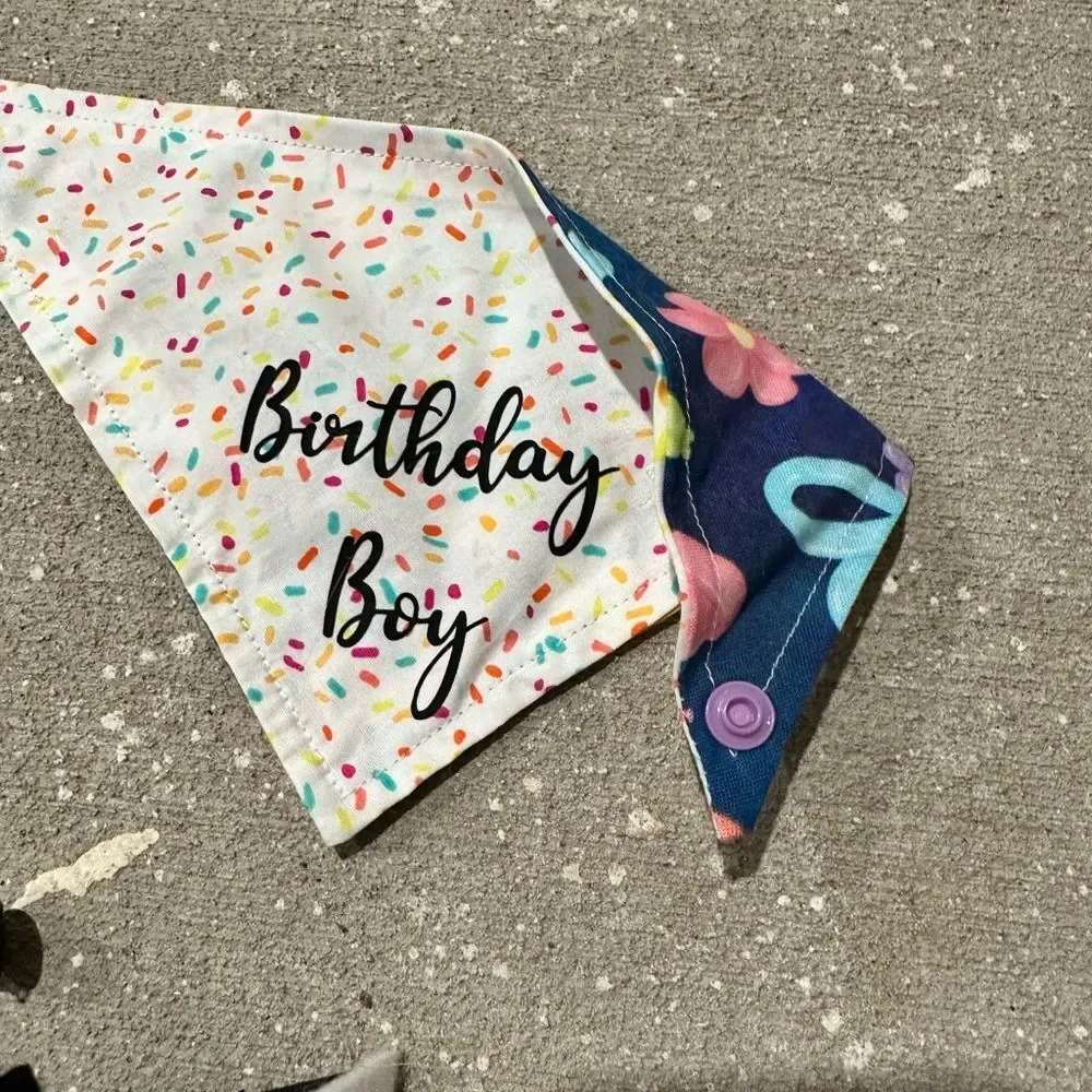 Special occasion cat bandanas